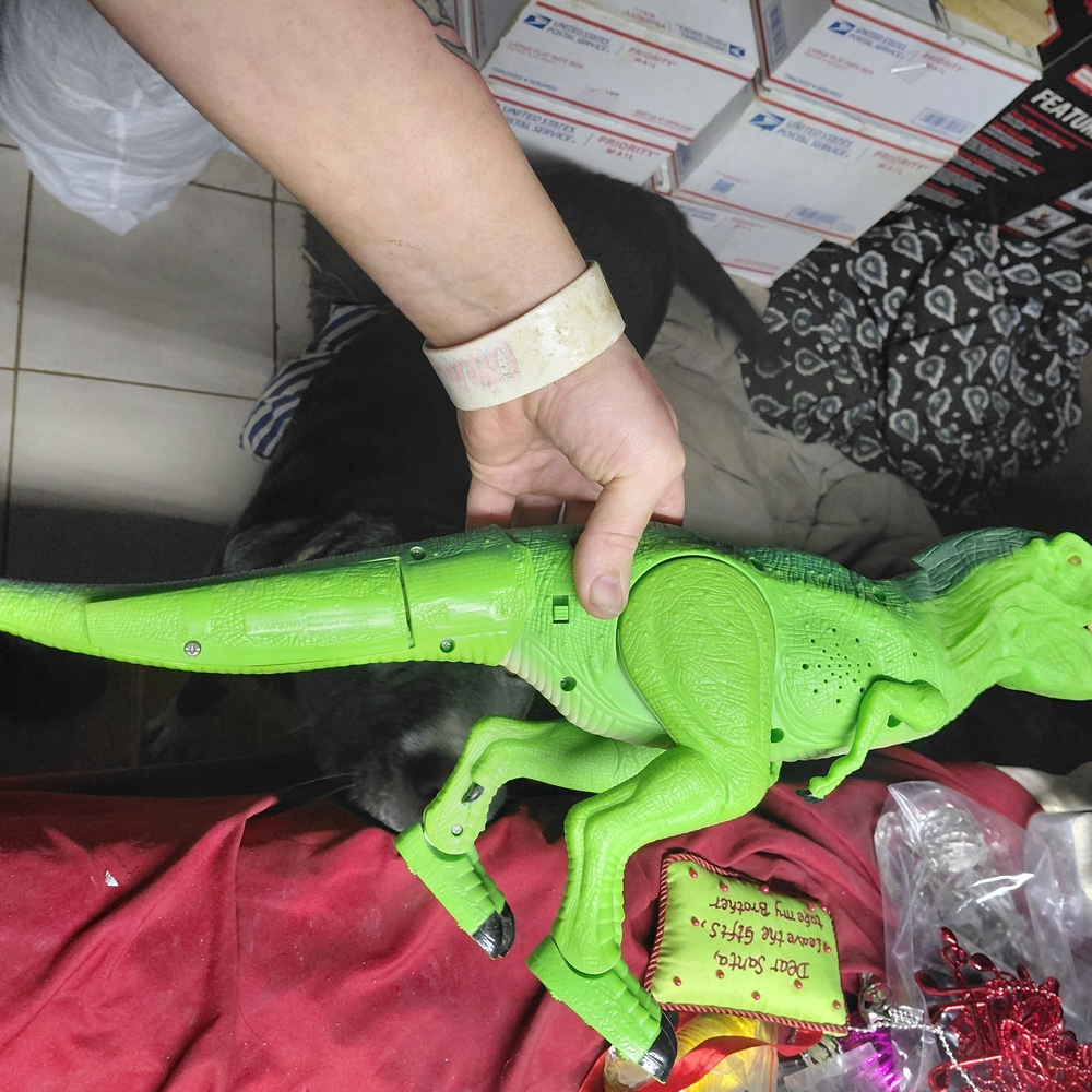 battery-operated green Tyrannosaurus Rex toy, Dragon-i Mighty Walks/roars